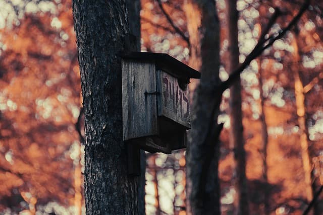 Porady dla nowych właścicieli psa - Unikaj błędów przy zakupie
