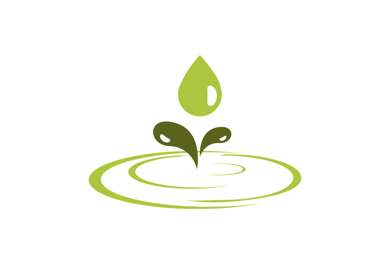 eco-adventure The Ultimate Guide to Planning Your Eco-Adventure