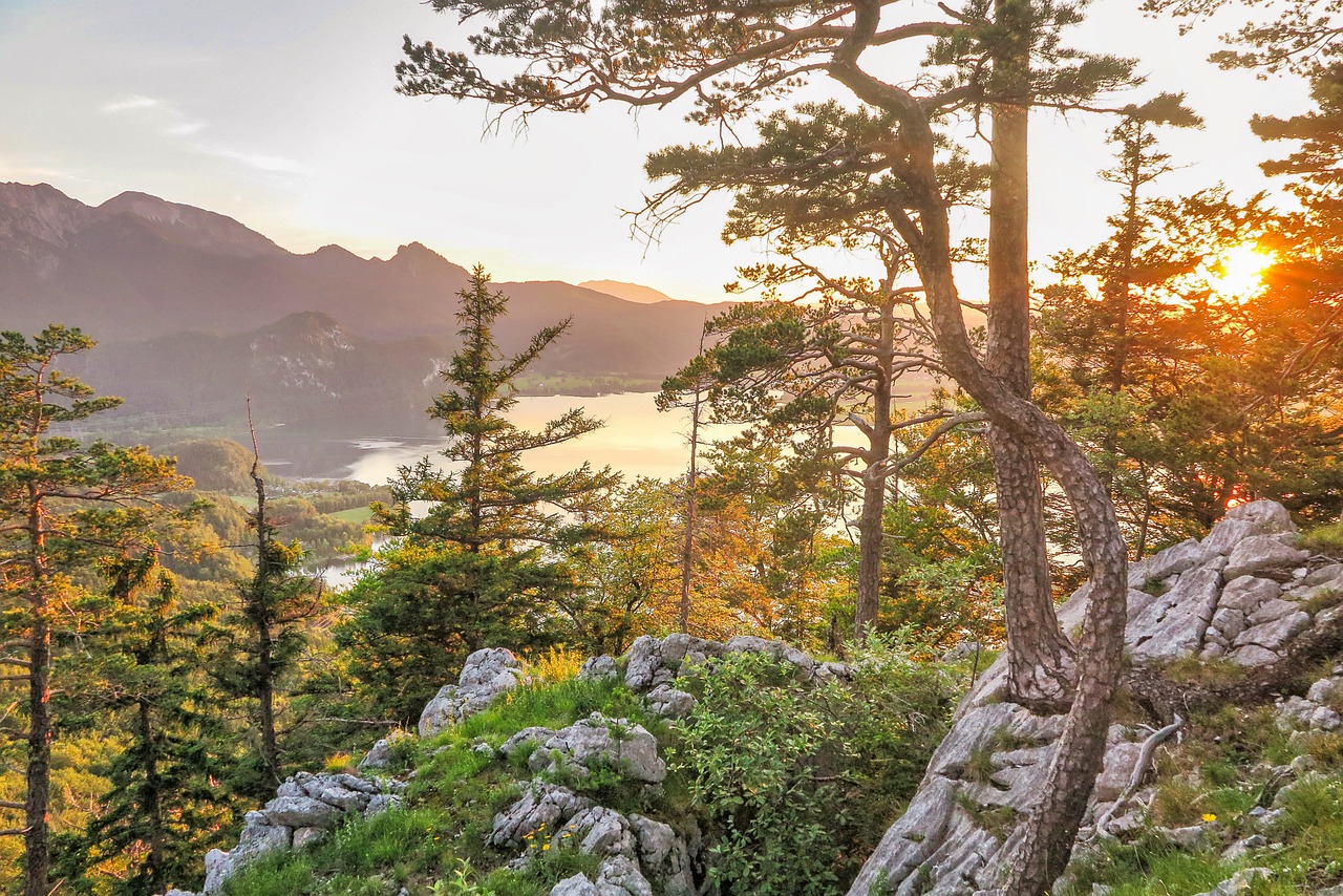 explore the great outdoors with our comprehensive guide to hiking. discover trails for all levels, tips for beginners, essential gear, and breathtaking scenery. join the adventure and connect with nature today!